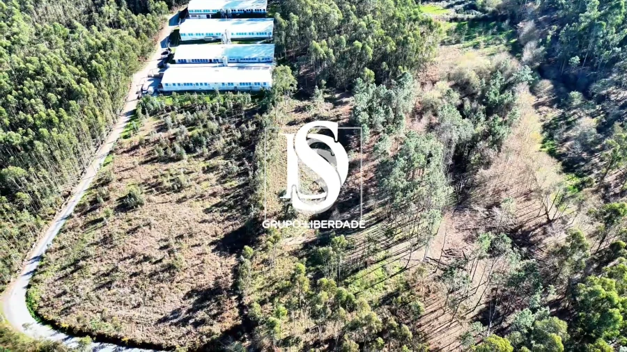 Terreno para Venda em Pico de Regalados, Gondiães e Mós Foto 8