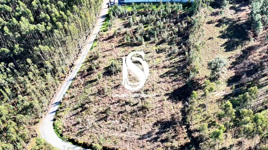 Terreno para Venda em Pico de Regalados, Gondiães e Mós Foto 18