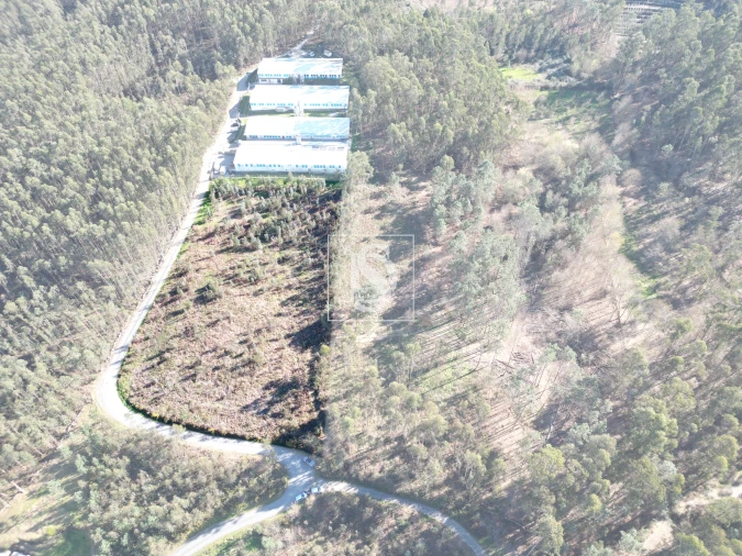 Terreno para Venda em Pico de Regalados, Gondiães e Mós