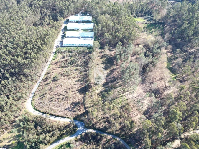 Terreno para Venda em Pico de Regalados, Gondiães e Mós Foto 2
