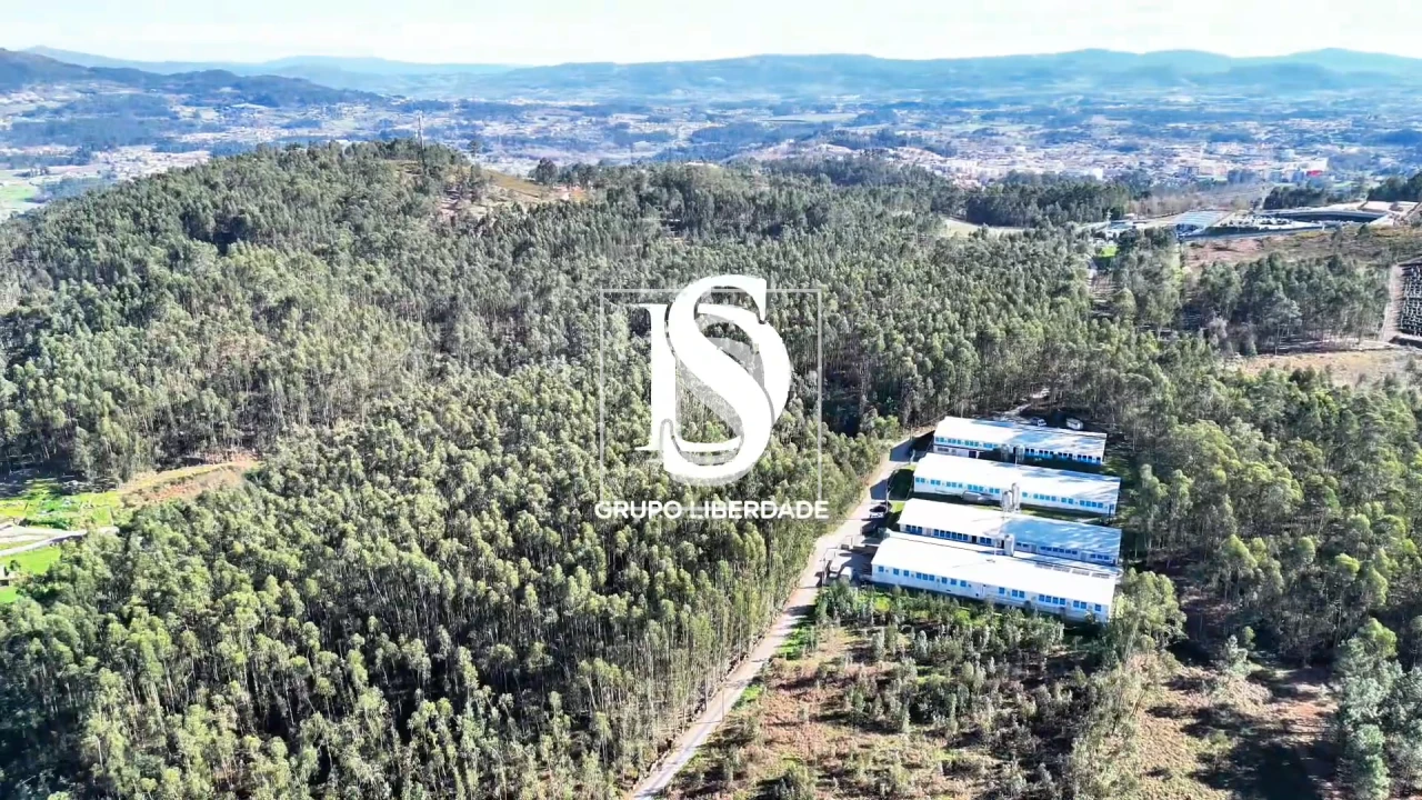 Terreno para Venda em Pico de Regalados, Gondiães e Mós Foto 19