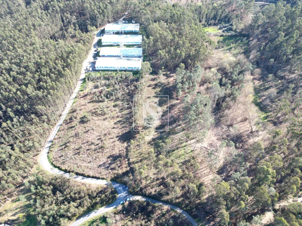 Terreno para Venda em Pico de Regalados, Gondiães e Mós Foto 2