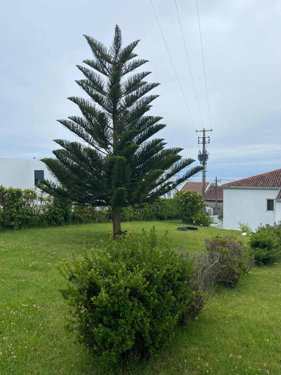 Moradia T7 para Venda em Ponta Garça Foto 39