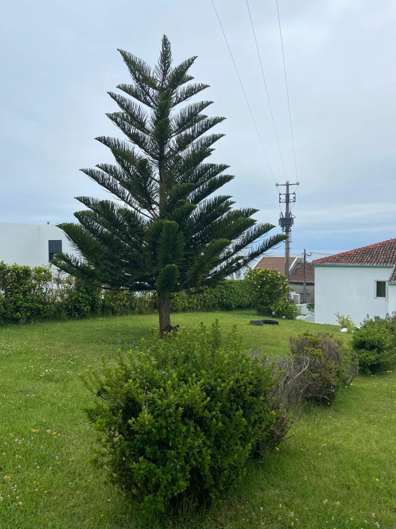 Moradia T7 para Venda em Ponta Garça Foto 39