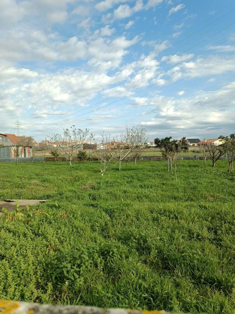 Moradia T5 para Venda em Ovar, São João, Arada e São Vicente de Pereira Jusã Foto 32
