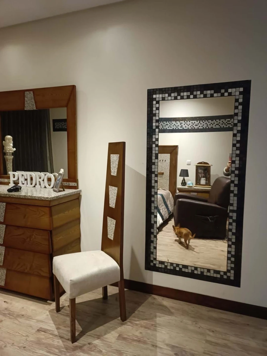 Moradia T5 para Venda em Ovar, São João, Arada e São Vicente de Pereira Jusã Foto 22