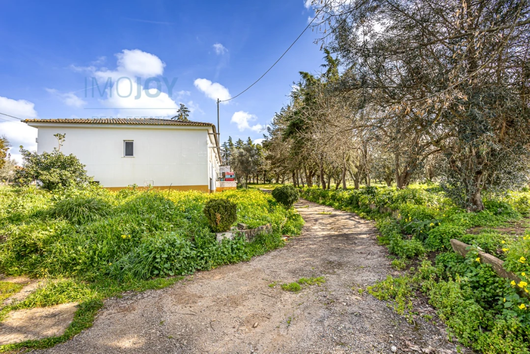 Moradia T4 para Venda em Alter do Chão Foto 16