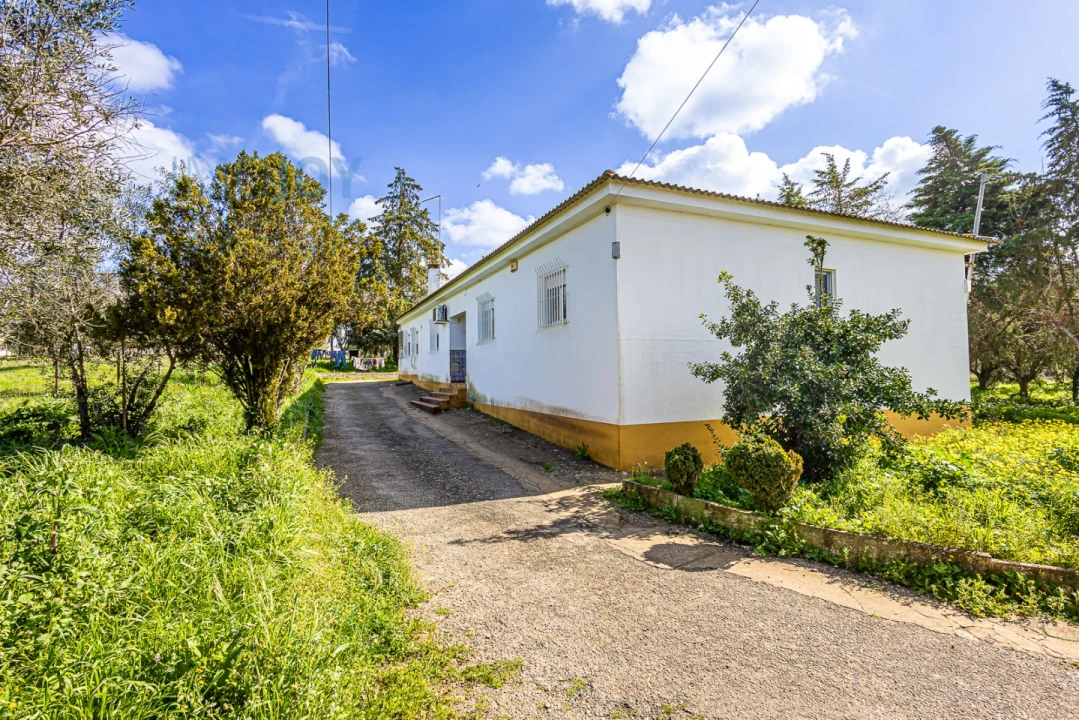 Moradia T4 para Venda em Alter do Chão Foto 18