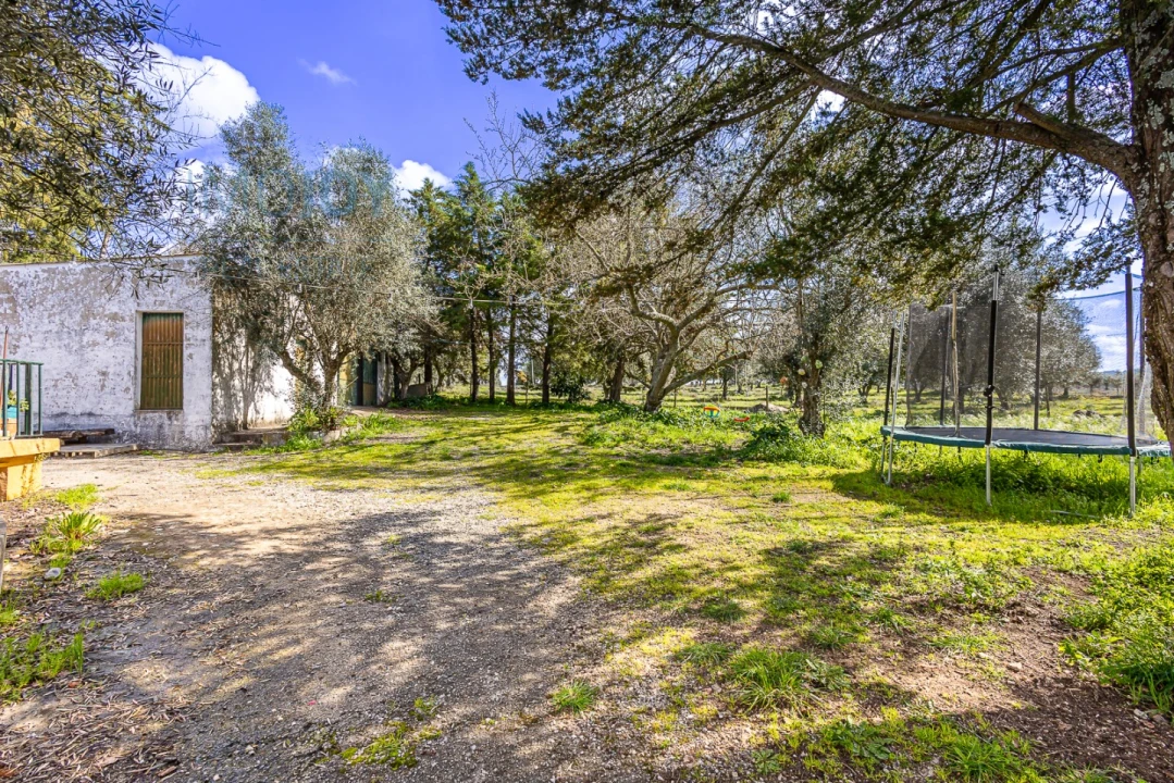 Moradia T4 para Venda em Alter do Chão Foto 19