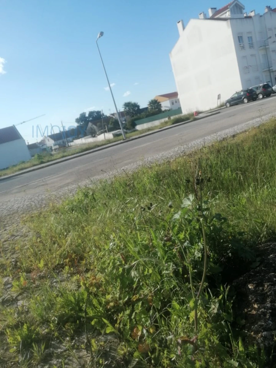 Terreno para Venda em Pegões Foto 16