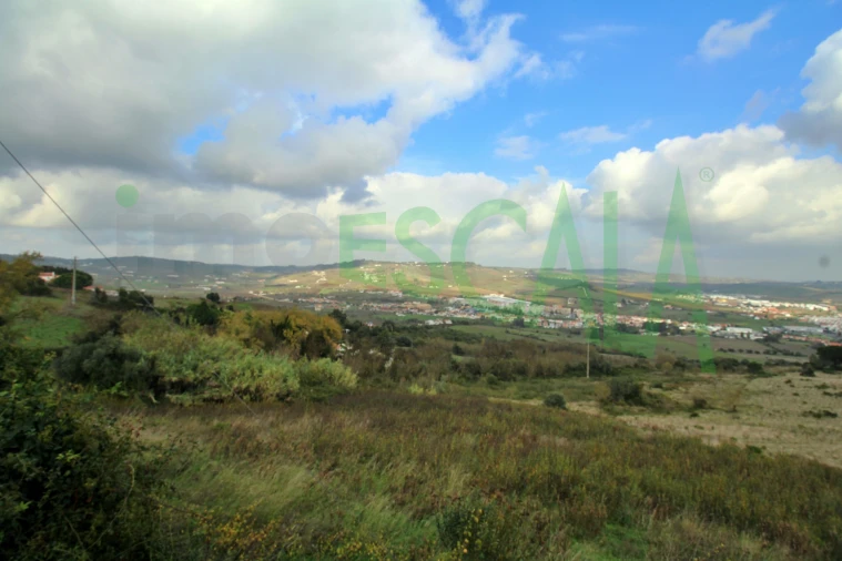 Apartamento T2 para Venda em Arruda dos Vinhos Foto 13