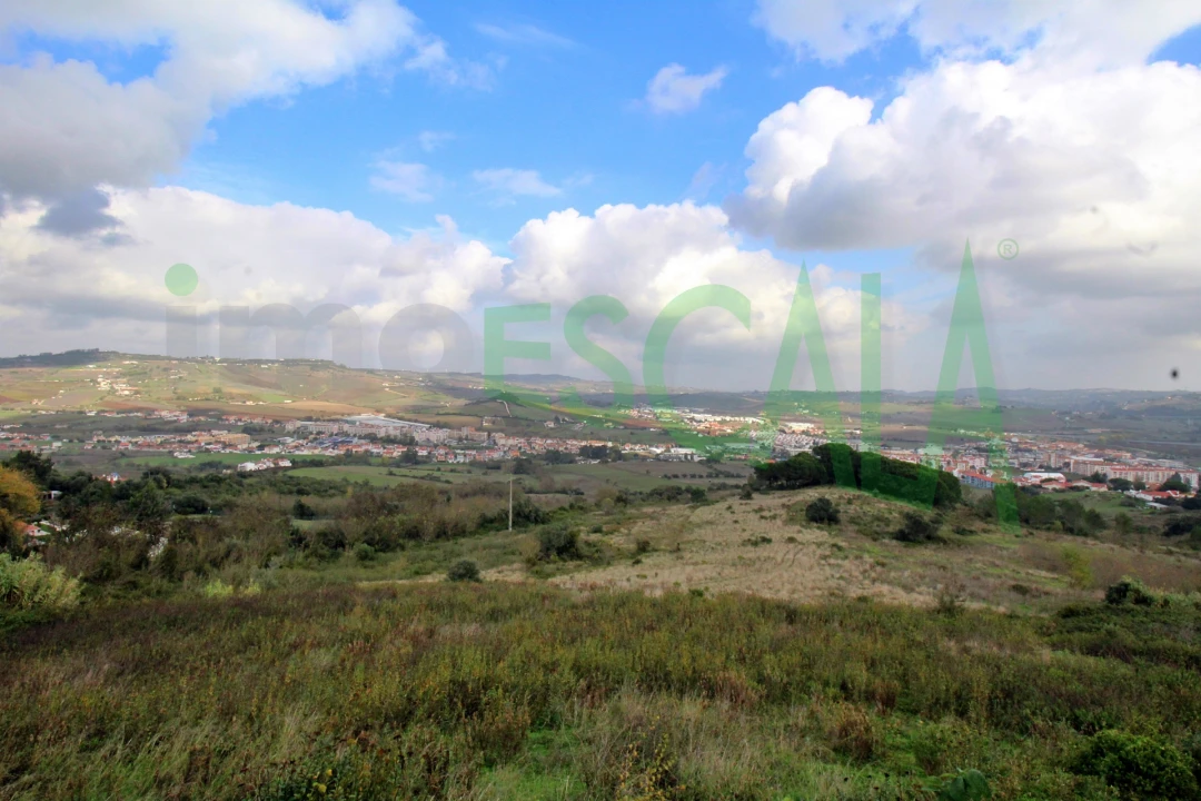 Apartamento T2 para Venda em Arruda dos Vinhos Foto 14