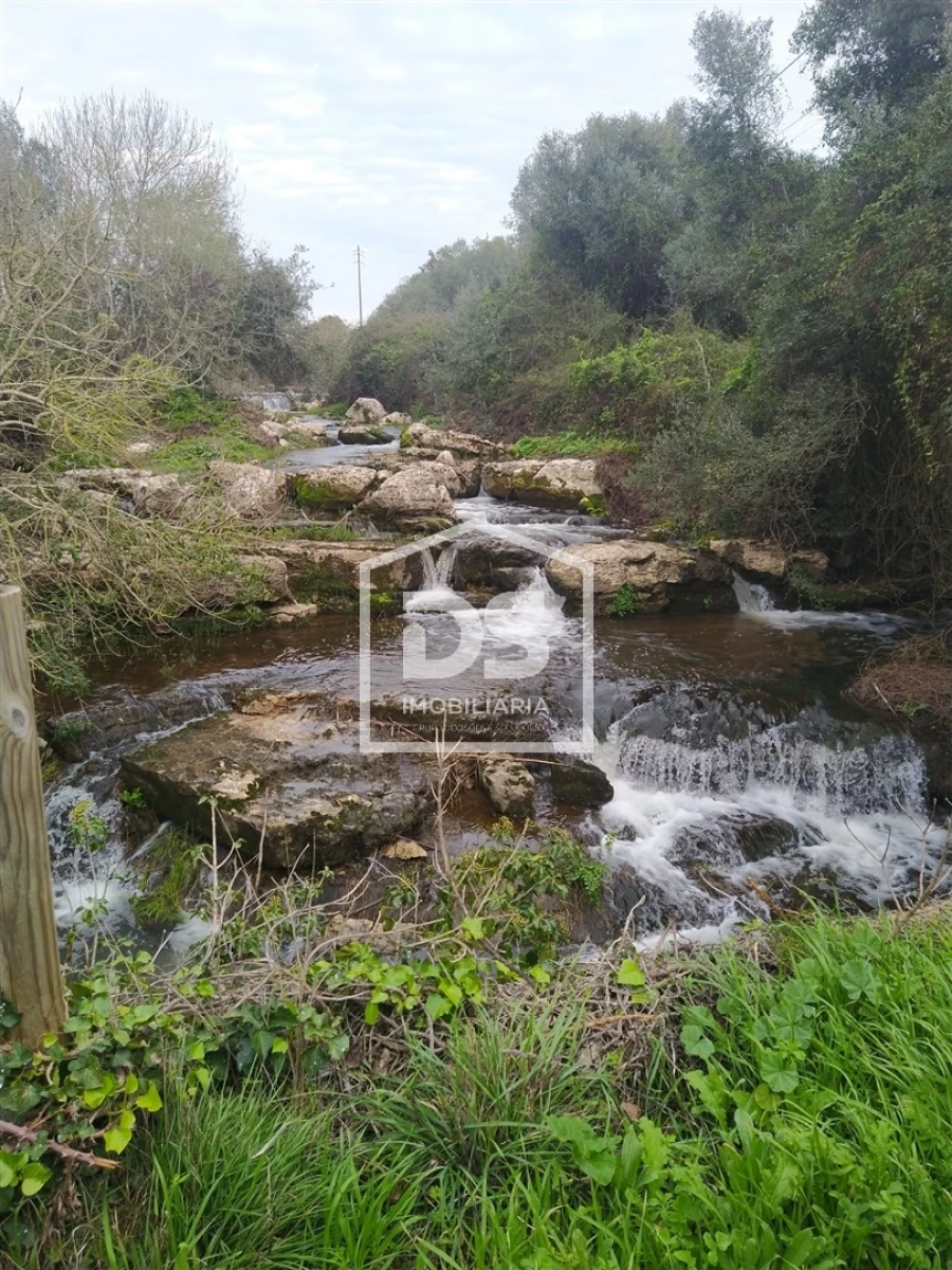 Quinta T5 para Venda em Almargem do Bispo, Pêro Pinheiro e Montelavar Foto 2