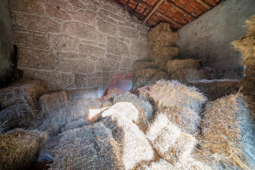 Quinta T2 para Venda em Cabeceiras de Basto Foto 10