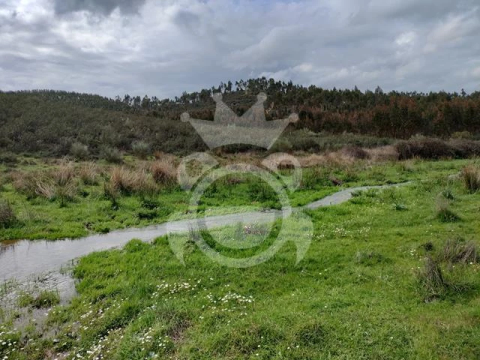 Terreno para Venda em Terena (São Pedro) Foto 10