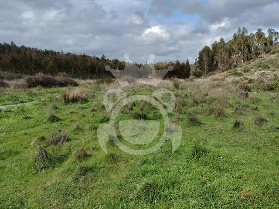 Terreno para Venda em Terena (São Pedro) Foto 6