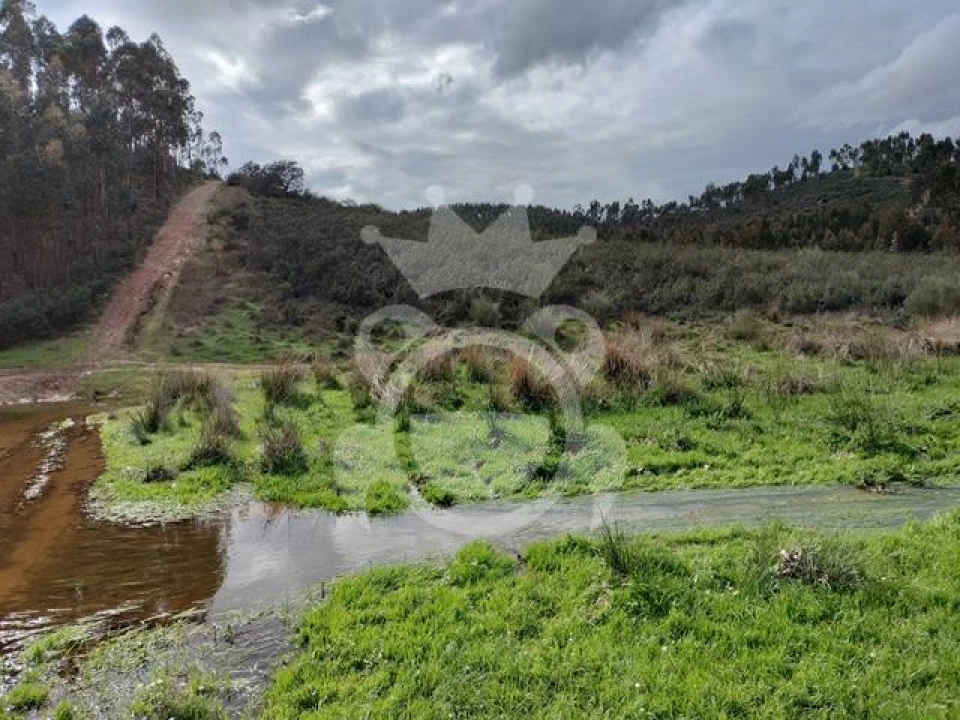 Terreno para Venda em Terena (São Pedro) Foto 8