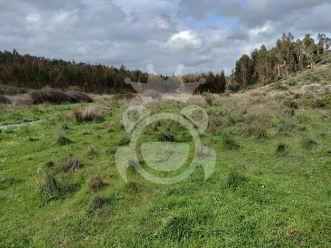 Terreno para Venda em Terena (São Pedro) Foto 6