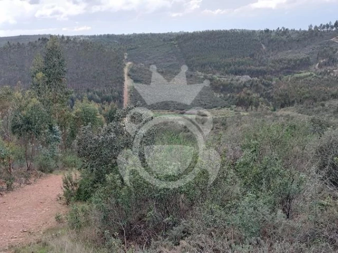 Terreno para Venda em Terena (São Pedro) Foto 3