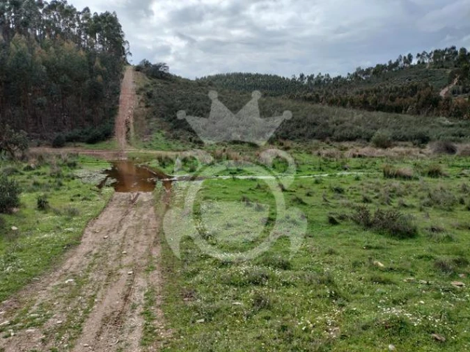 Terreno para Venda em Terena (São Pedro) Foto 1
