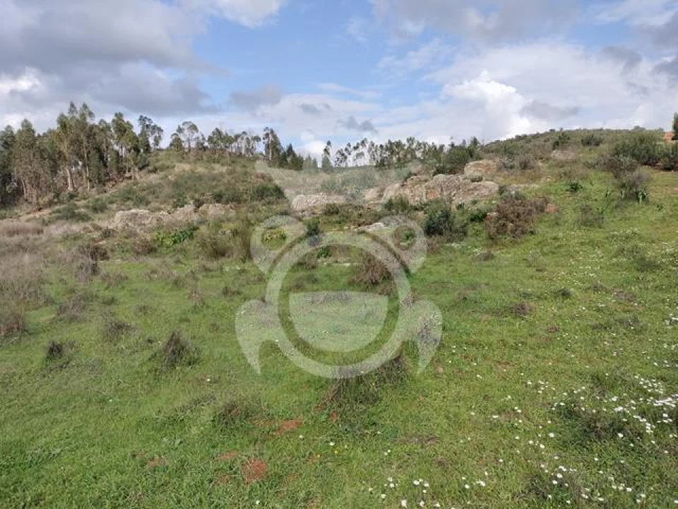 Terreno para Venda em Terena (São Pedro) Foto 7