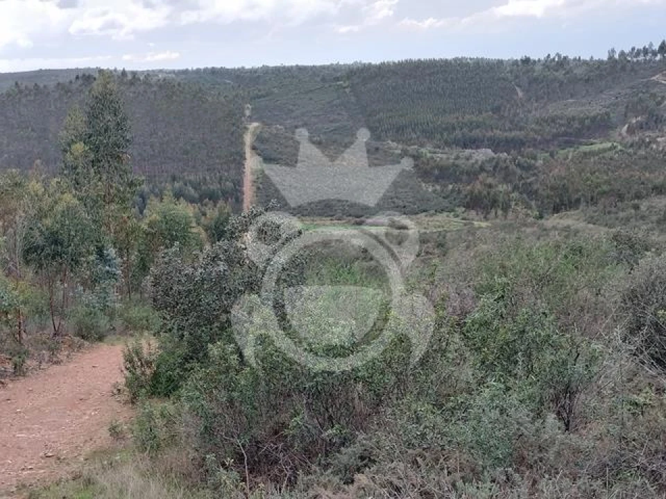 Terreno para Venda em Terena (São Pedro) Foto 3