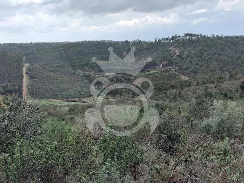 Terreno para Venda em Terena (São Pedro) Foto 2