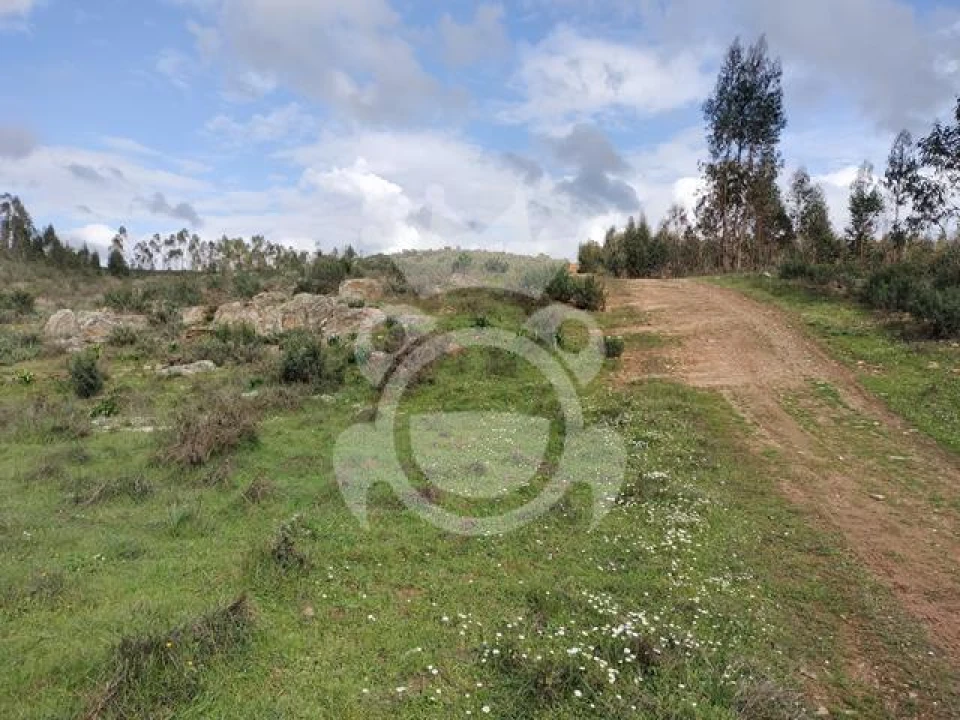 Terreno para Venda em Terena (São Pedro) Foto 4