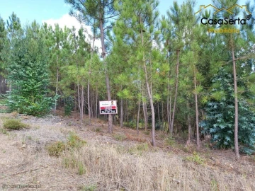 Terreno para Venda em Sertã