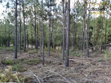 Terreno para Venda em Sertã