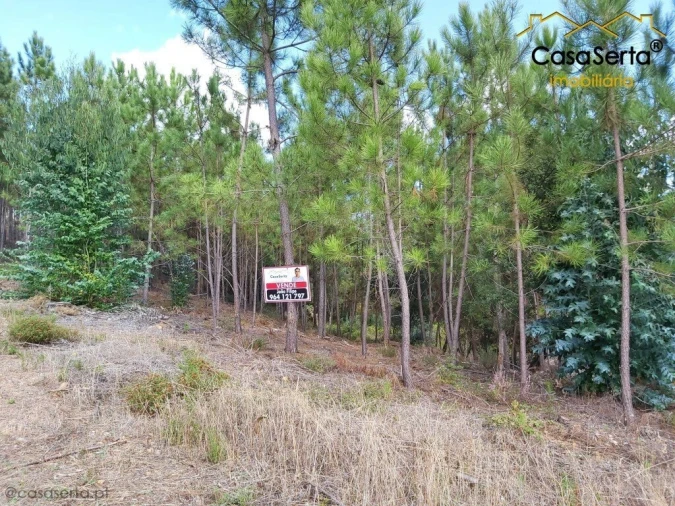 Terreno para Venda em Sertã Foto 3