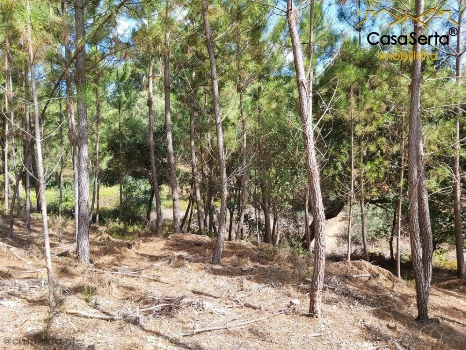 Terreno para Venda em Sertã Foto 7