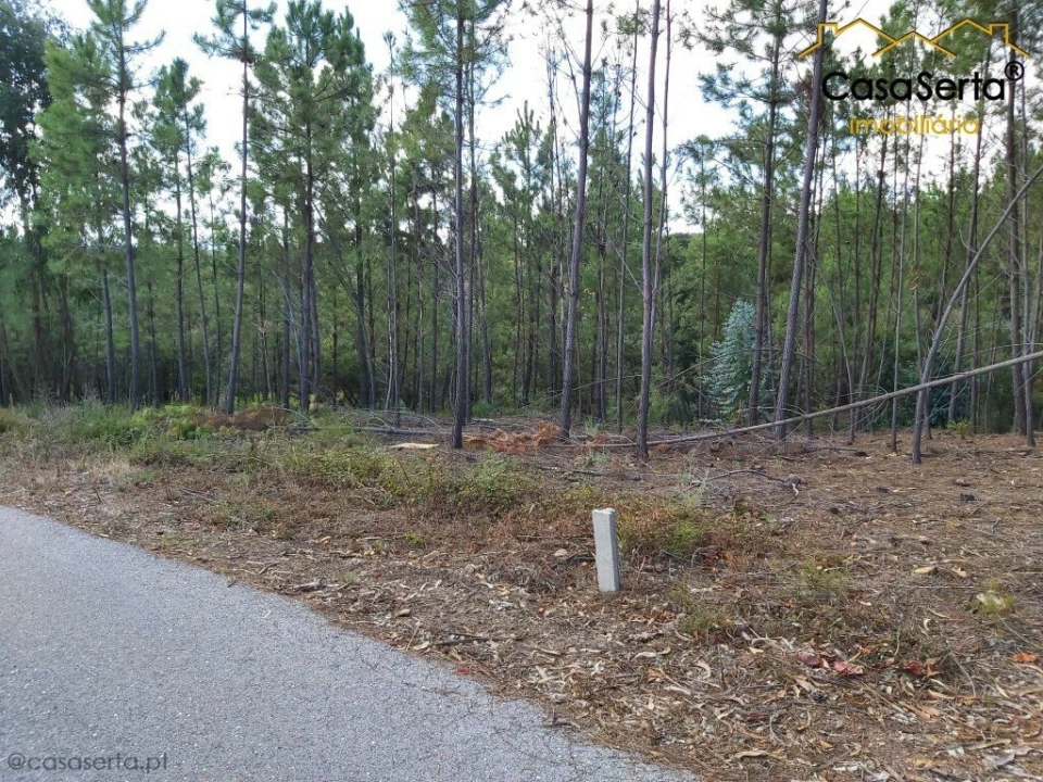 Terreno para Venda em Sertã Foto 2