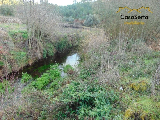 Terreno para Venda em Varzea dos Cavaleiros Foto 2