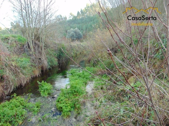 Terreno para Venda em Varzea dos Cavaleiros Foto 3