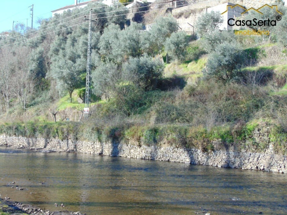 Terreno para Venda em Sertã Foto 3