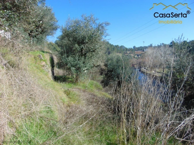 Terreno para Venda em Sertã Foto 12