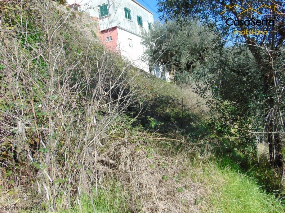 Terreno para Venda em Sertã Foto 13