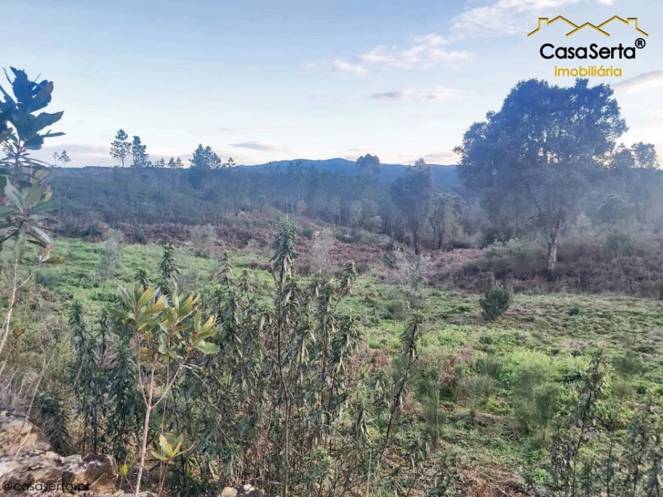 Terreno para Venda em Fundada Foto 2