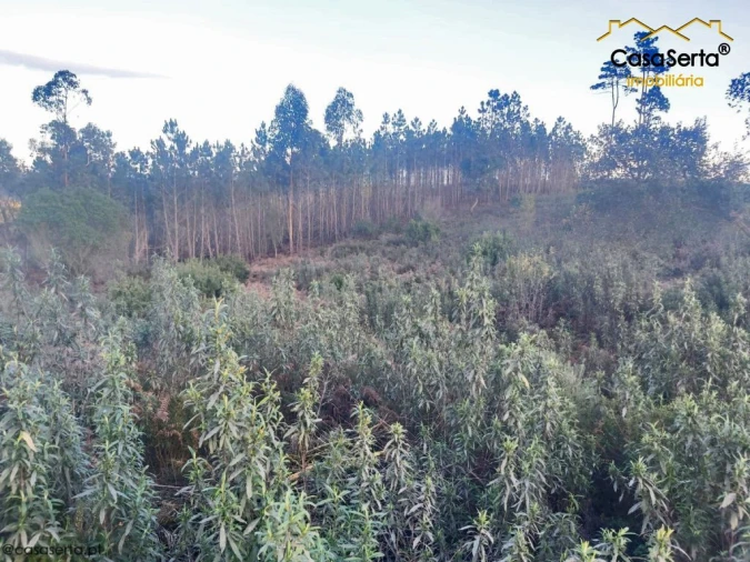 Terreno para Venda em Fundada Foto 5