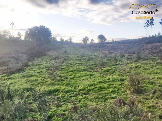 Terreno para Venda em Fundada Foto 6