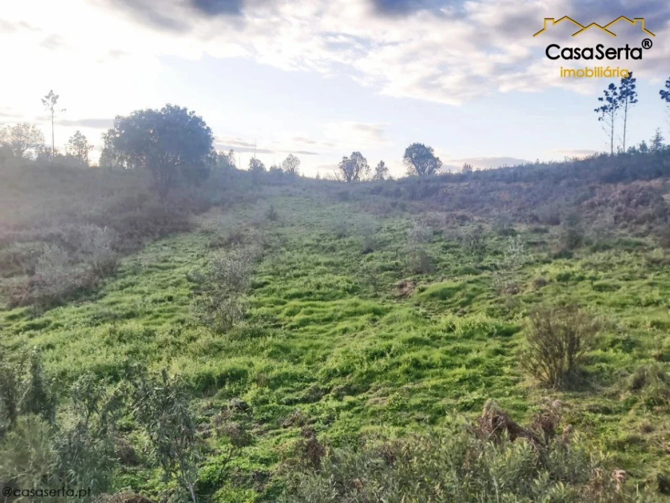 Terreno para Venda em Fundada Foto 6