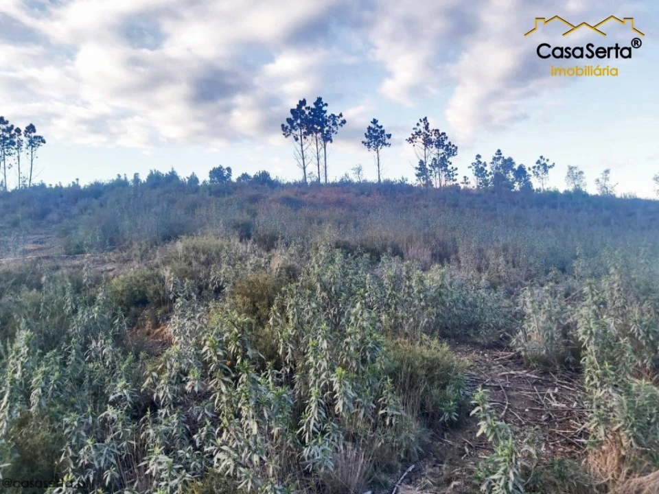 Terreno para Venda em Fundada Foto 3