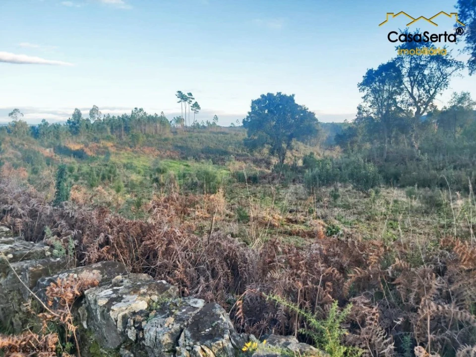 Terreno para Venda em Fundada Foto 1
