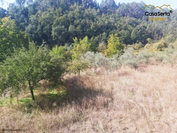 Terreno para Venda em Sertã