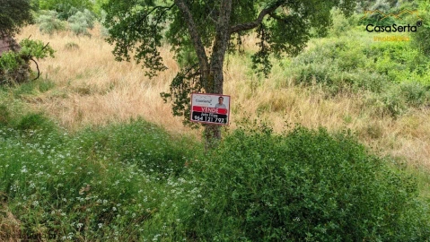 Terreno para Venda em Sertã