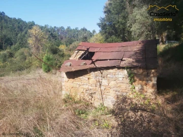 Terreno para Venda em Sertã