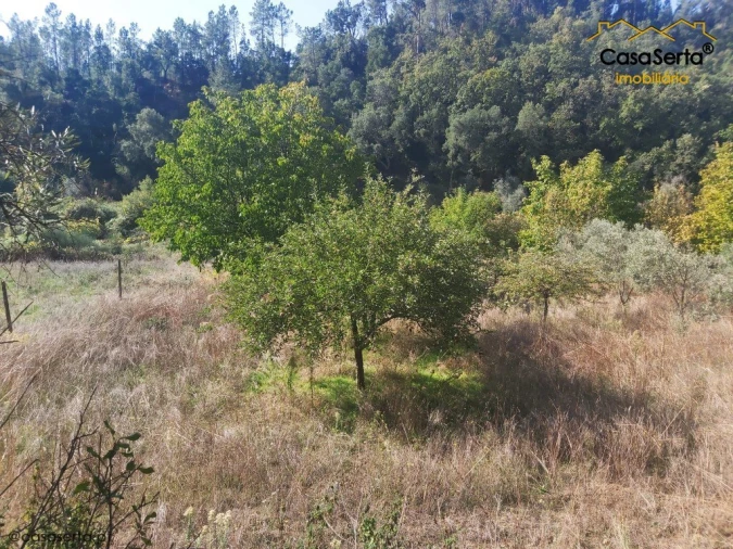 Terreno para Venda em Sertã Foto 6