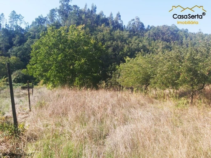 Terreno para Venda em Sertã Foto 15