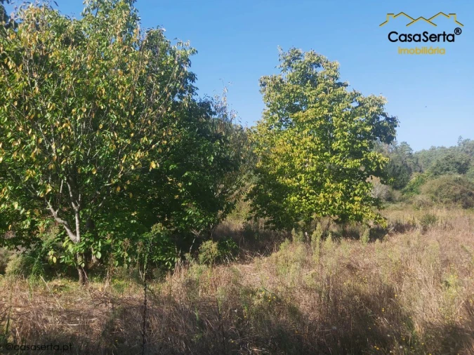 Terreno para Venda em Sertã Foto 7